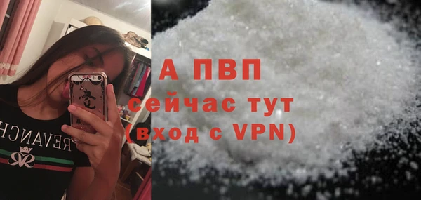 PSILOCYBIN Абаза