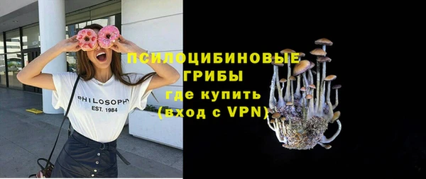 PSILOCYBIN Абаза