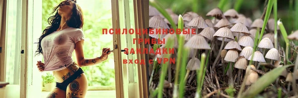 стаф Кулебаки