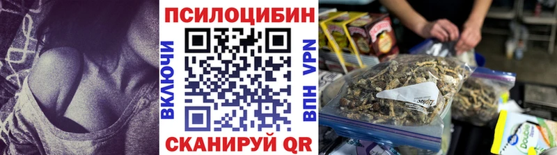 Псилоцибиновые грибы GOLDEN TEACHER  Староминская 